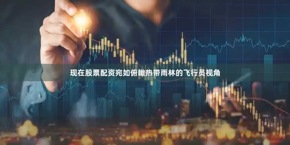 现在股票配资宛如俯瞰热带雨林的飞行员视角