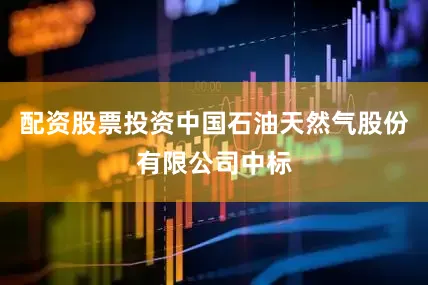 配资股票投资中国石油天然气股份有限公司中标